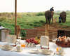 Four Seasons Tented Camp Golden Triangle 